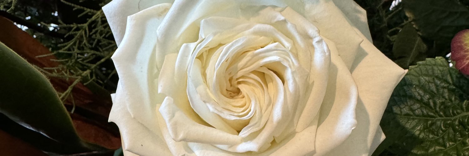 Landry Fields banner