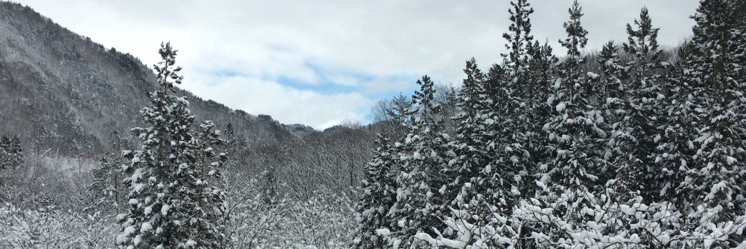 whiteen_p's profile banner image