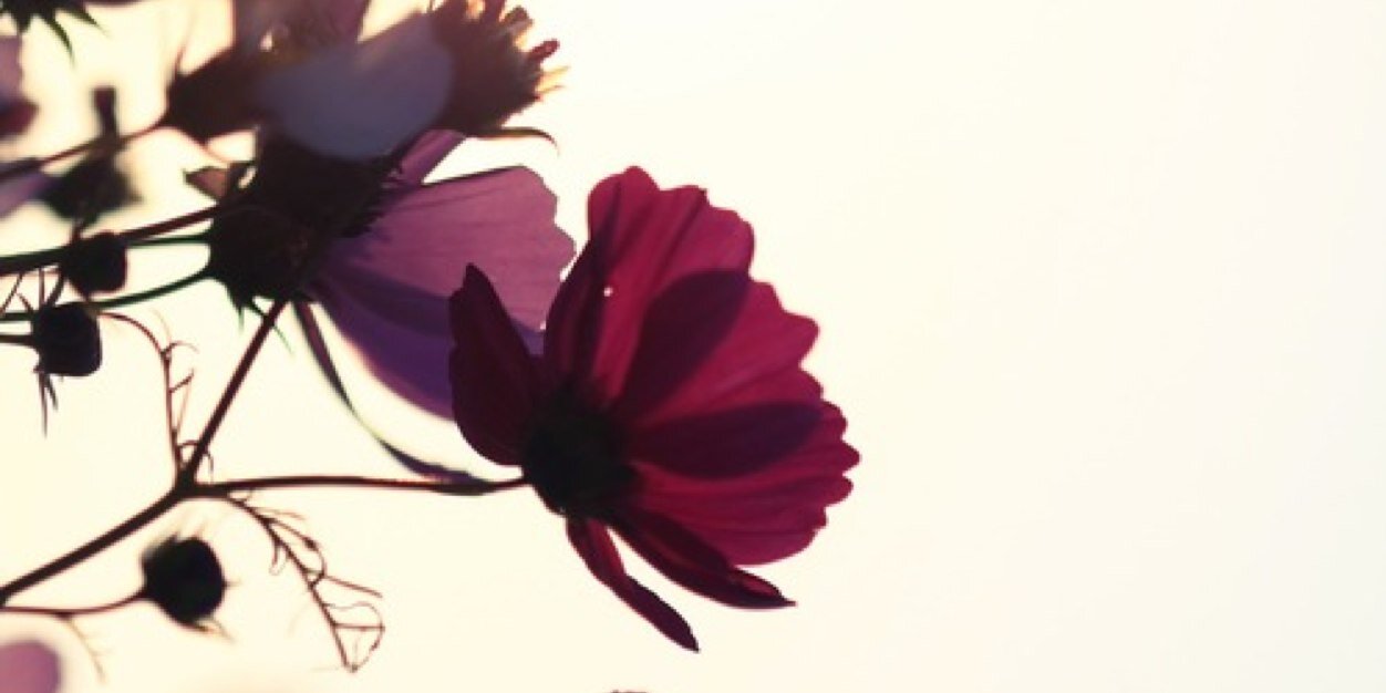 BlairRPGSA's profile banner image