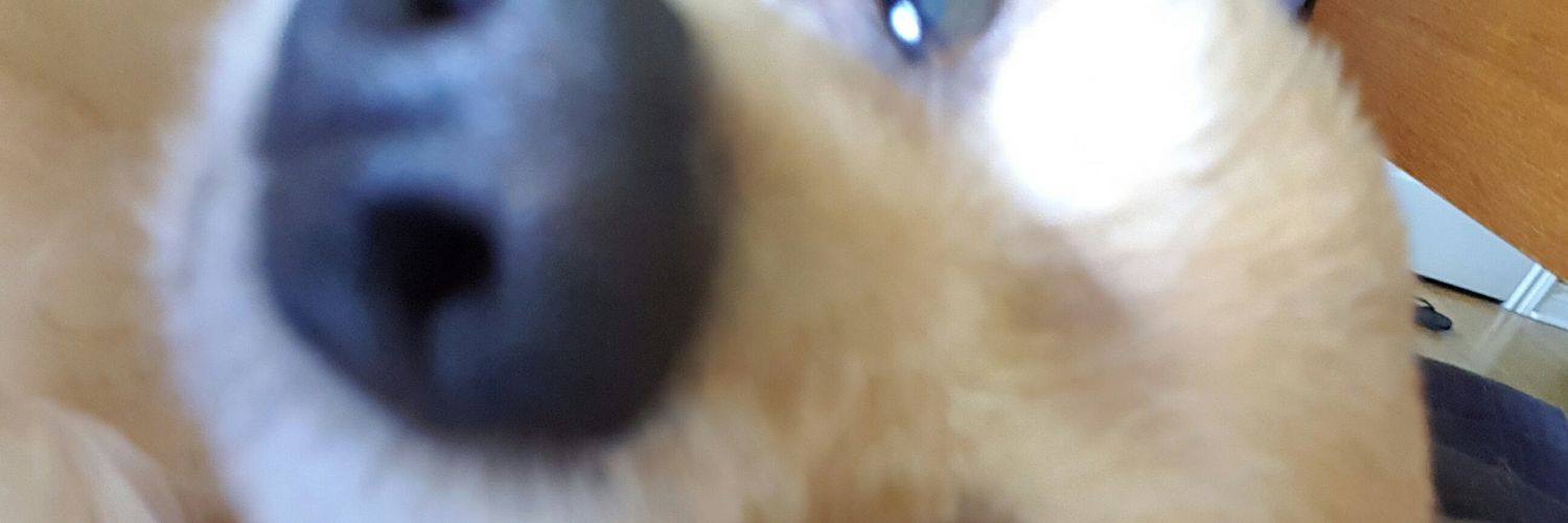 JarrettWoood's profile banner image