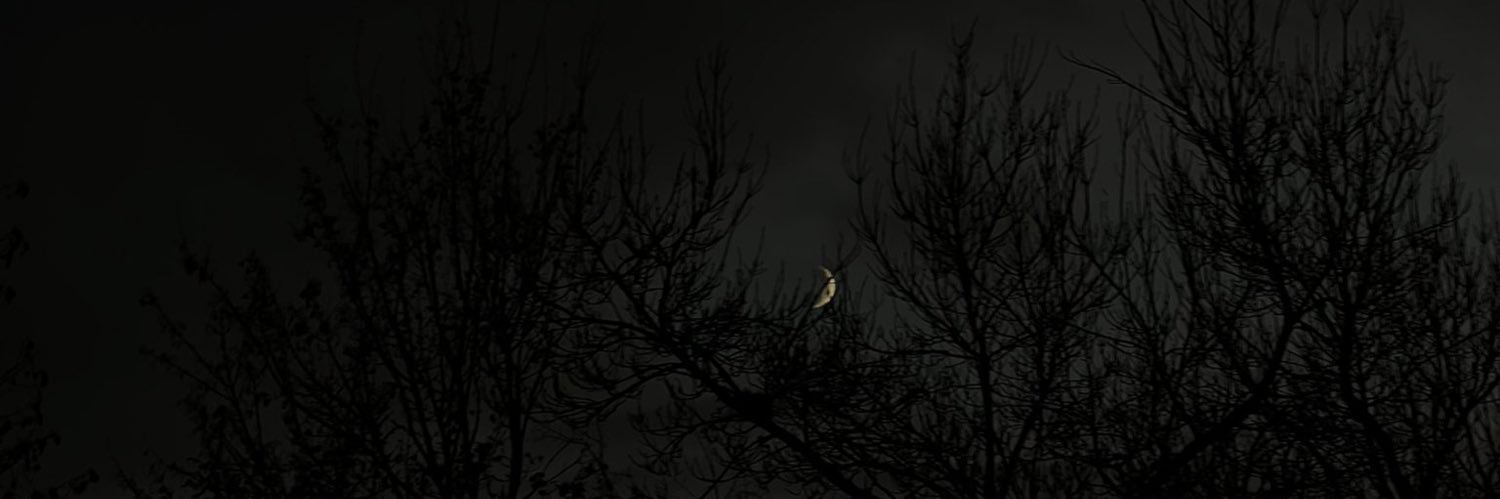 . banner