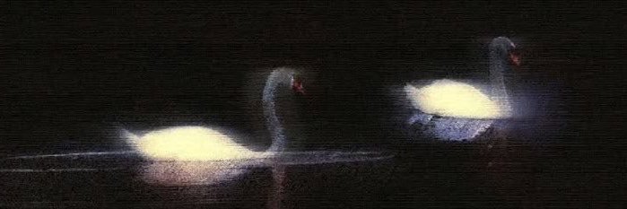 X40Br's profile banner image