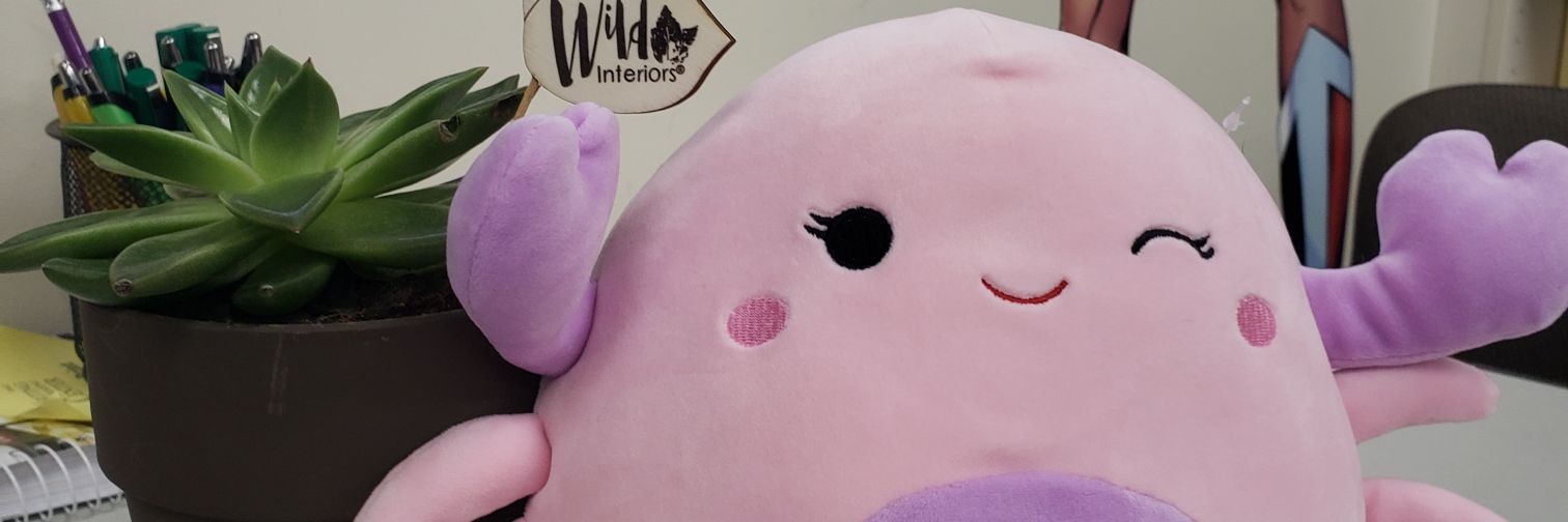 Liam (they/them) banner
