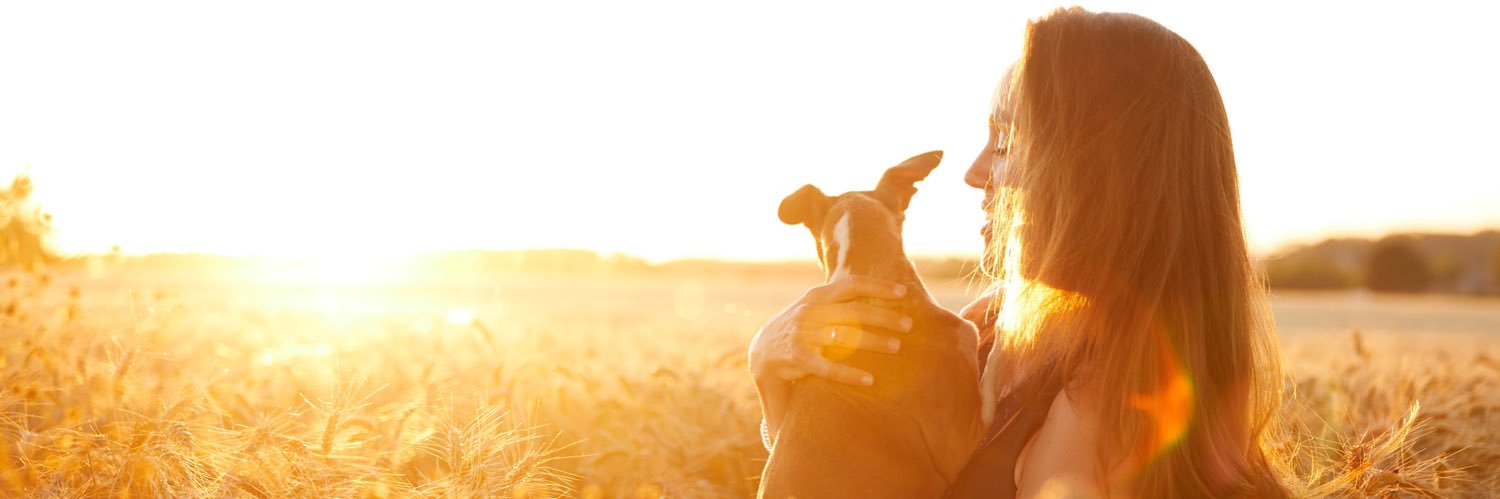 Planet Lolo - For Animals & Humans banner