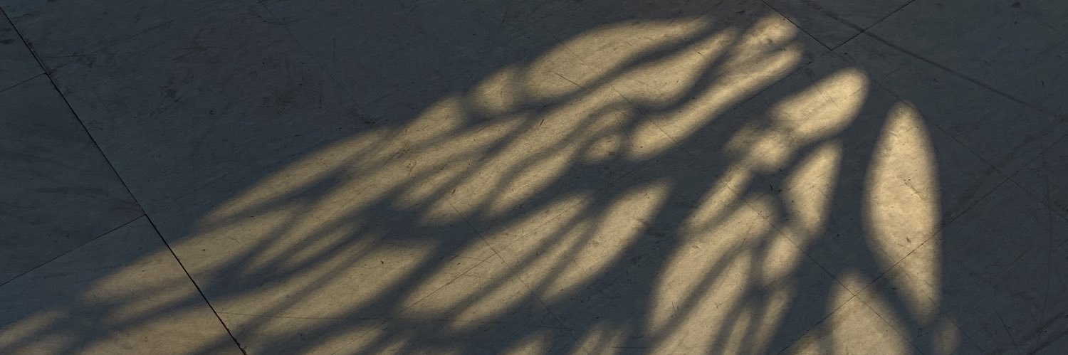 latrellegonza's profile banner image