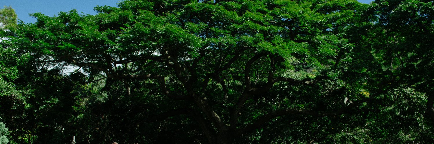 EWPForum's profile banner image