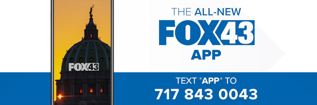 EvanFox43's profile banner image