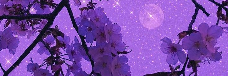 au$tin banner