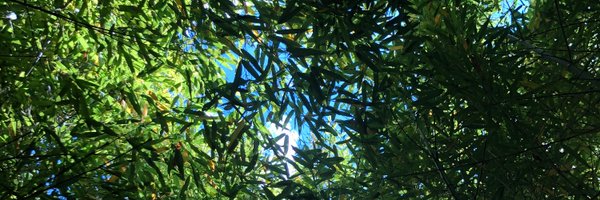 sd270 Profile Banner