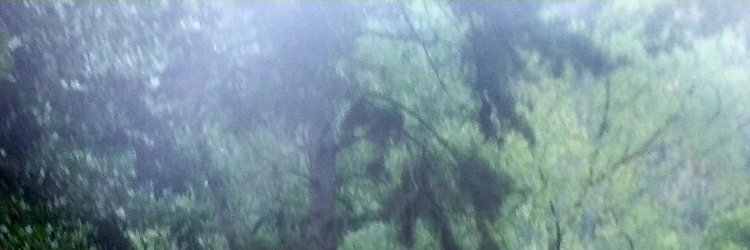 _spono_no's profile banner image