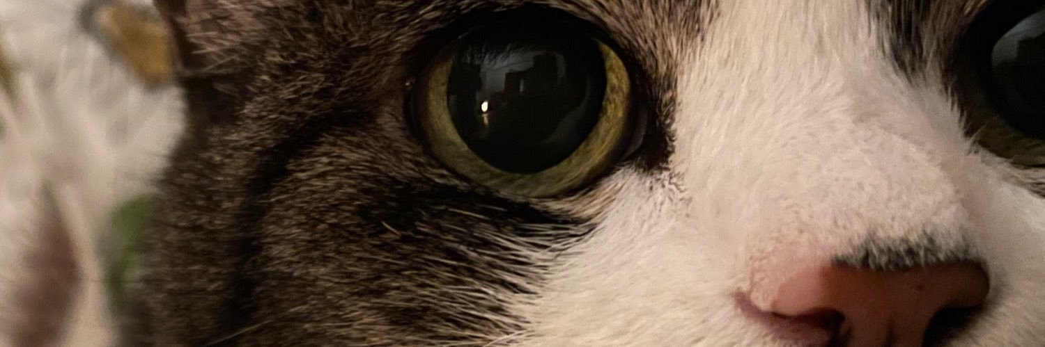 bangacledesign's profile banner image