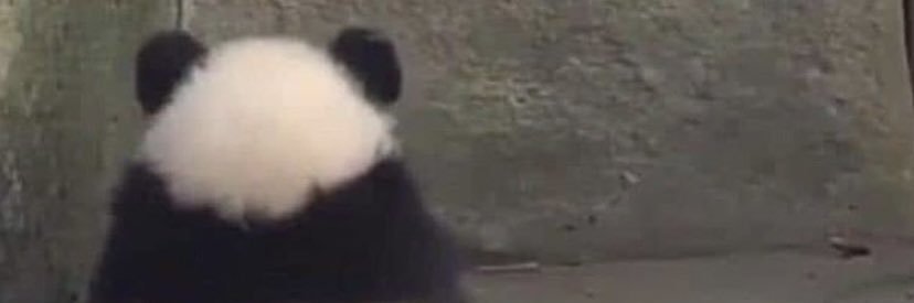 noturstrawberry's profile banner image