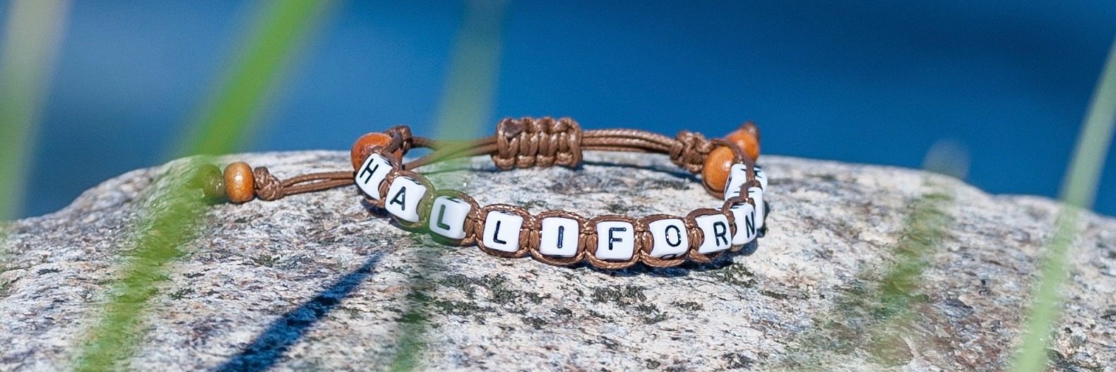 hallifornia's profile banner image