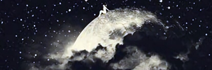 carmenpicog's profile banner image