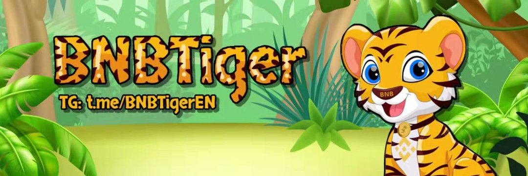BnB Tiger 🐯 banner