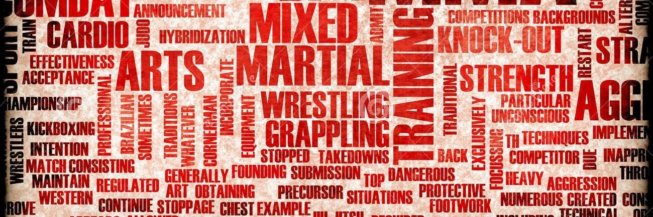 World of MMA banner
