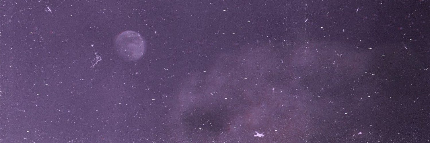 not lena's banner