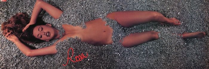 v banner