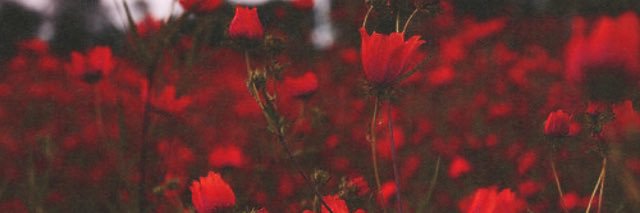 andreabatres__'s profile banner image