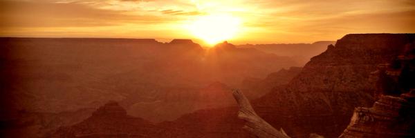 nicolashumann Profile Banner