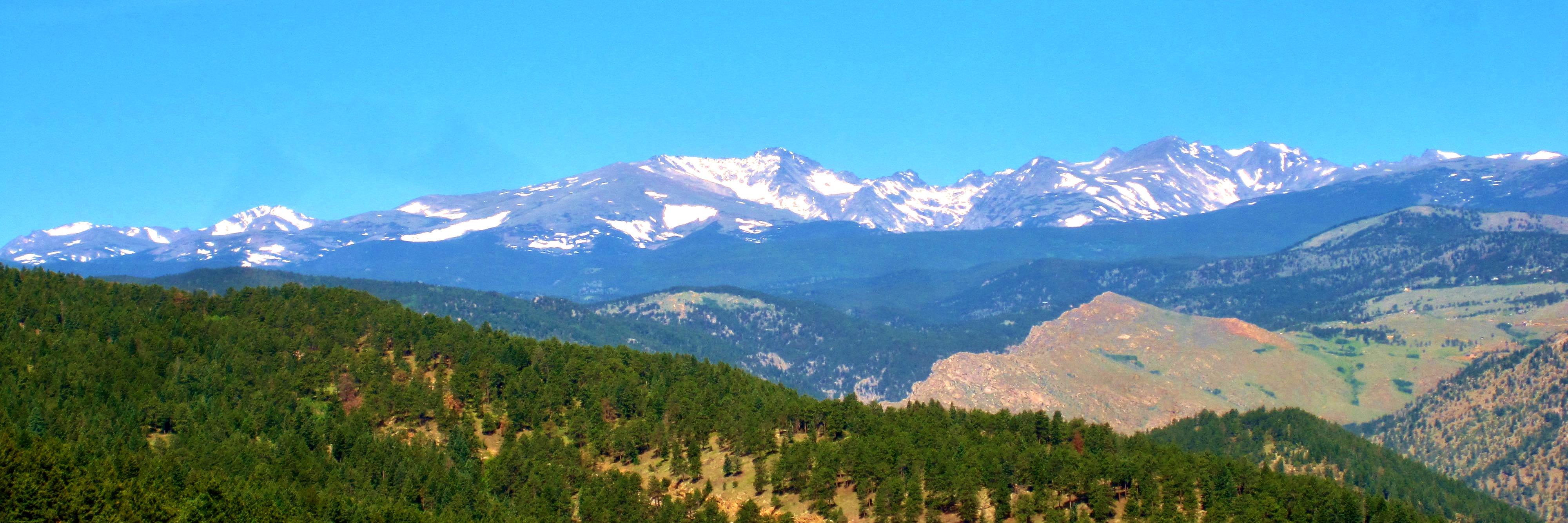 Susan Reynolds banner