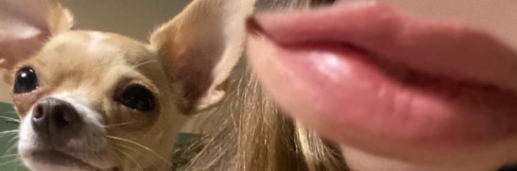 michssalgado's profile banner image