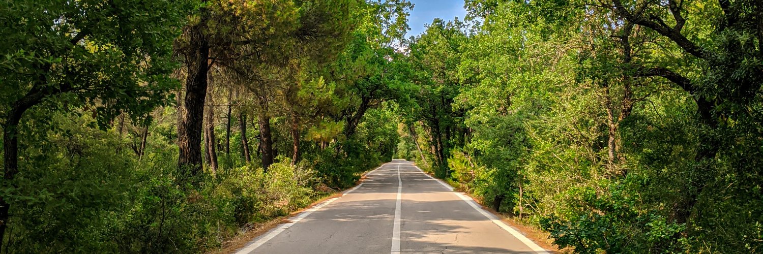 Vasilis Karantousis banner