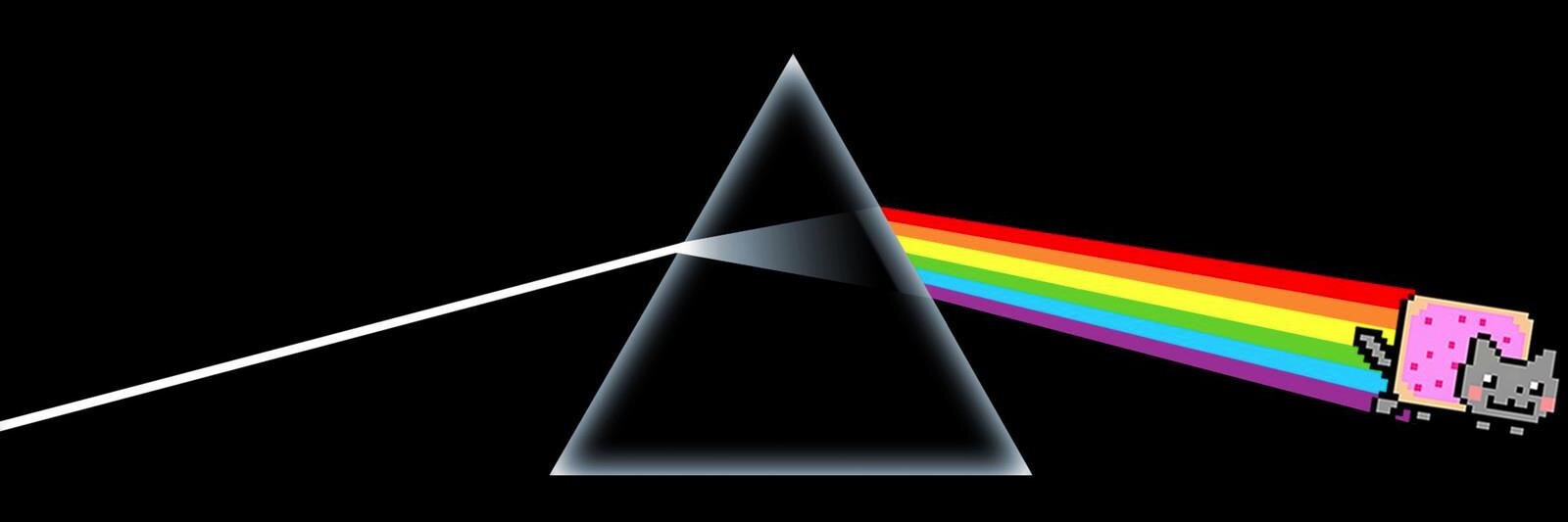 Danillo Nunes banner