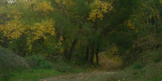 Javi_515's profile banner image