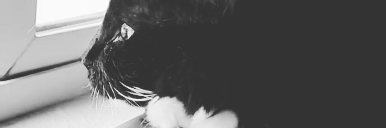 Gracey__Facey's profile banner image