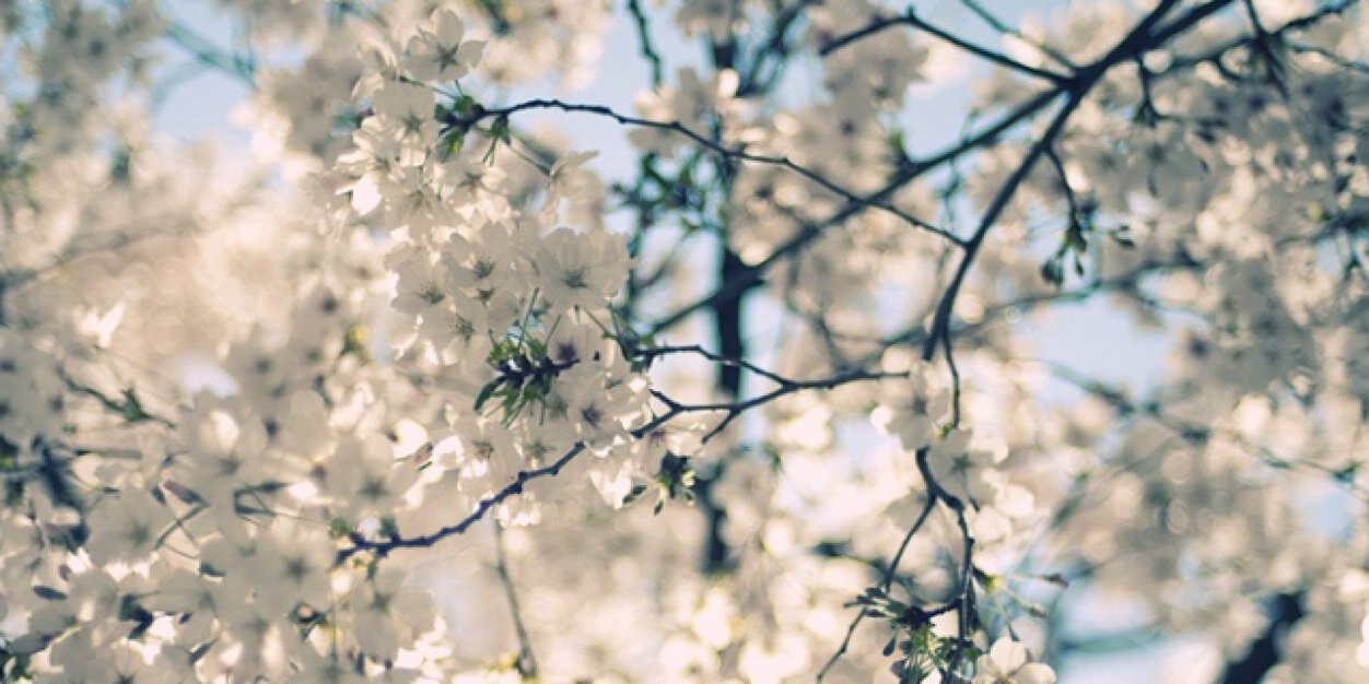 RobynFeldwick's profile banner image