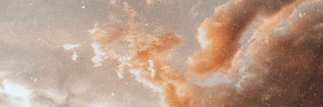evie ✧˖°. 🦢 banner