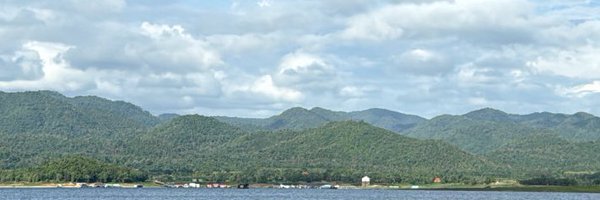 xinxinxlee Profile Banner