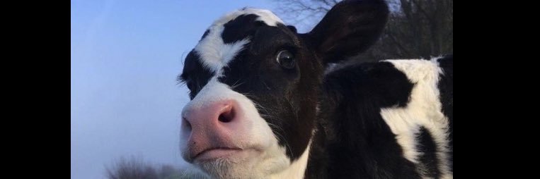 jamiefraanco's profile banner image