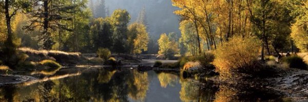 deekohzz Profile Banner