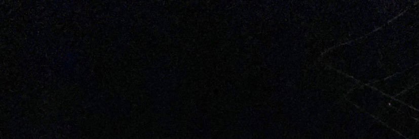 bull3 banner