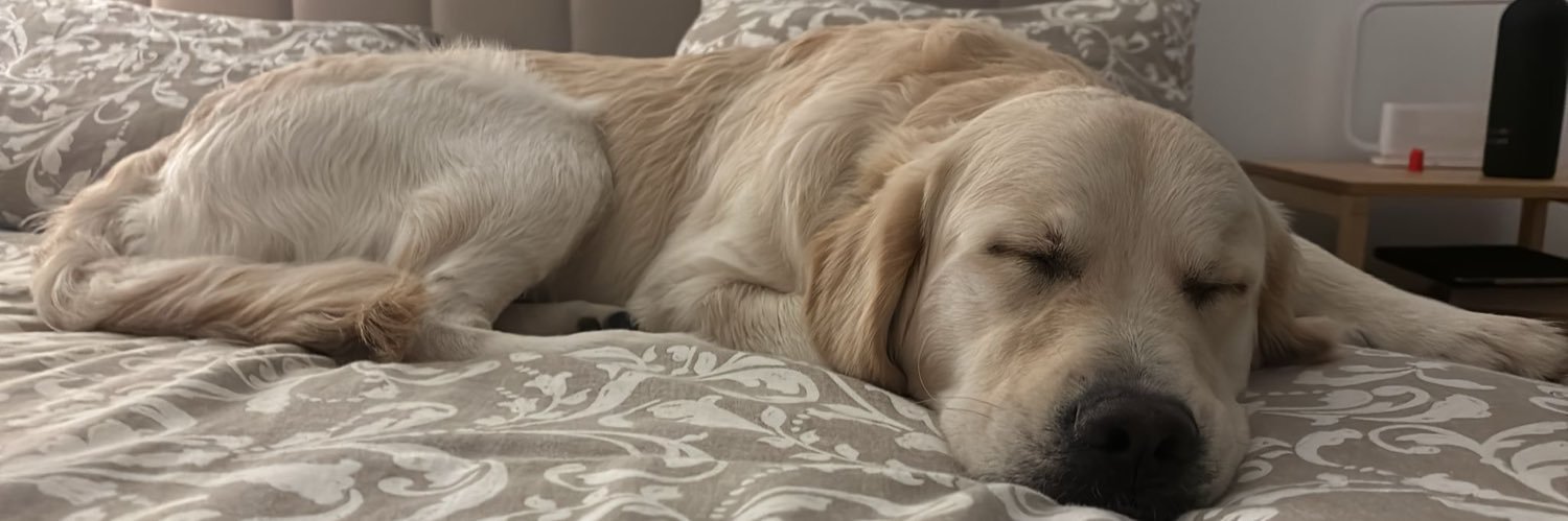 Las guardias? Una mierda banner