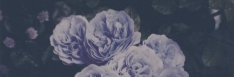 martymacerollo's profile banner image