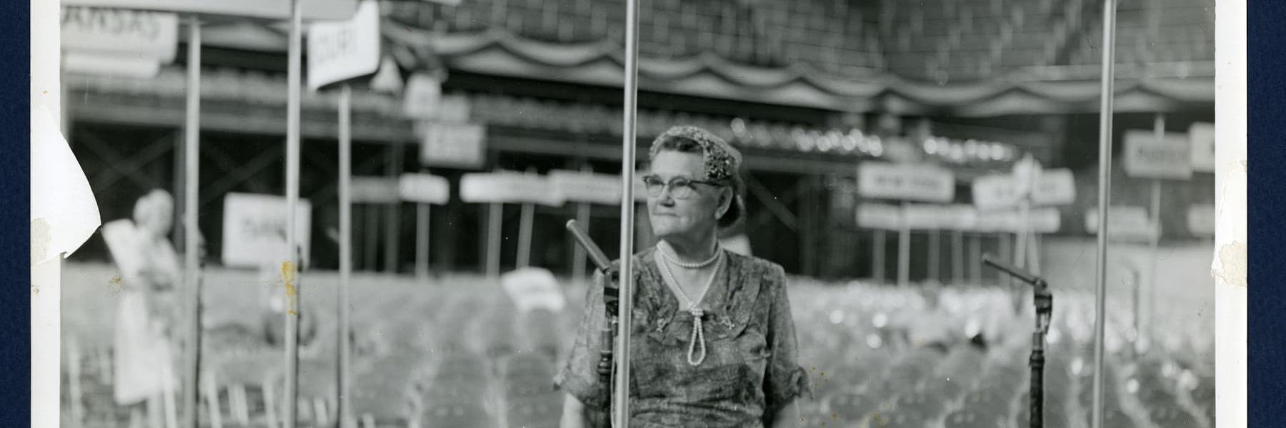 Chick History banner