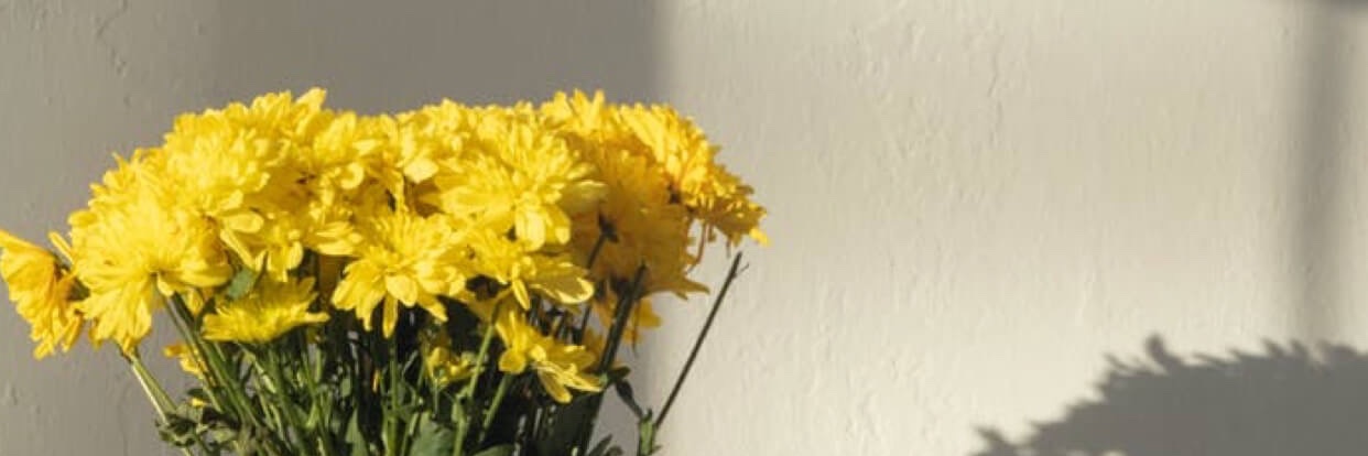 27vina's profile banner image