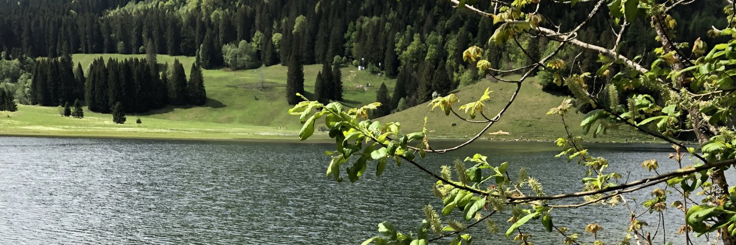 Happy ☀️☀️☀️☀️1 von 18 Millionen banner