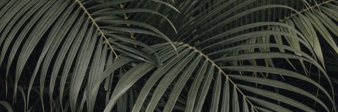albav_29's profile banner image