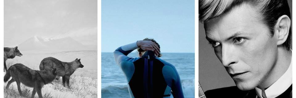 Untitled Magazine banner