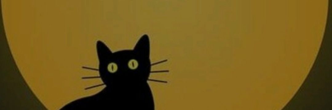 CrisQuezadaV's profile banner image