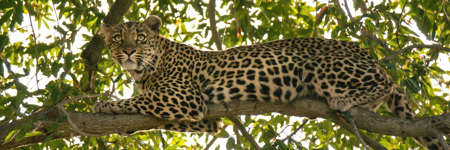 DS Parrott Middle School banner