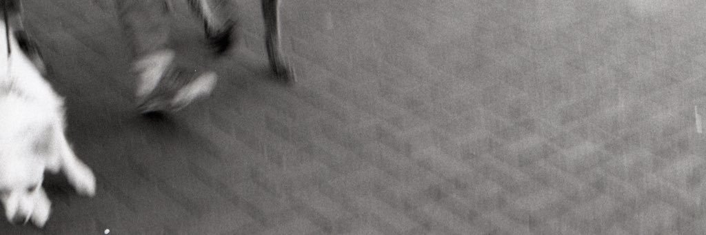 Austin DuBois banner