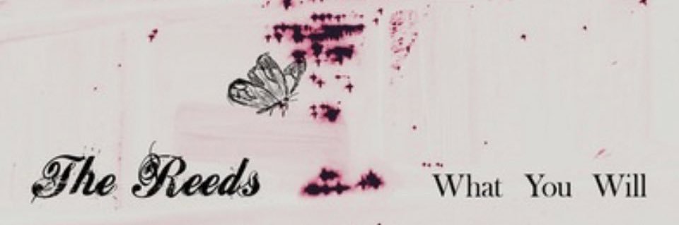 thereedsband's profile banner image