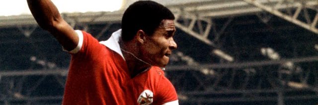 timoteocalves's profile banner image
