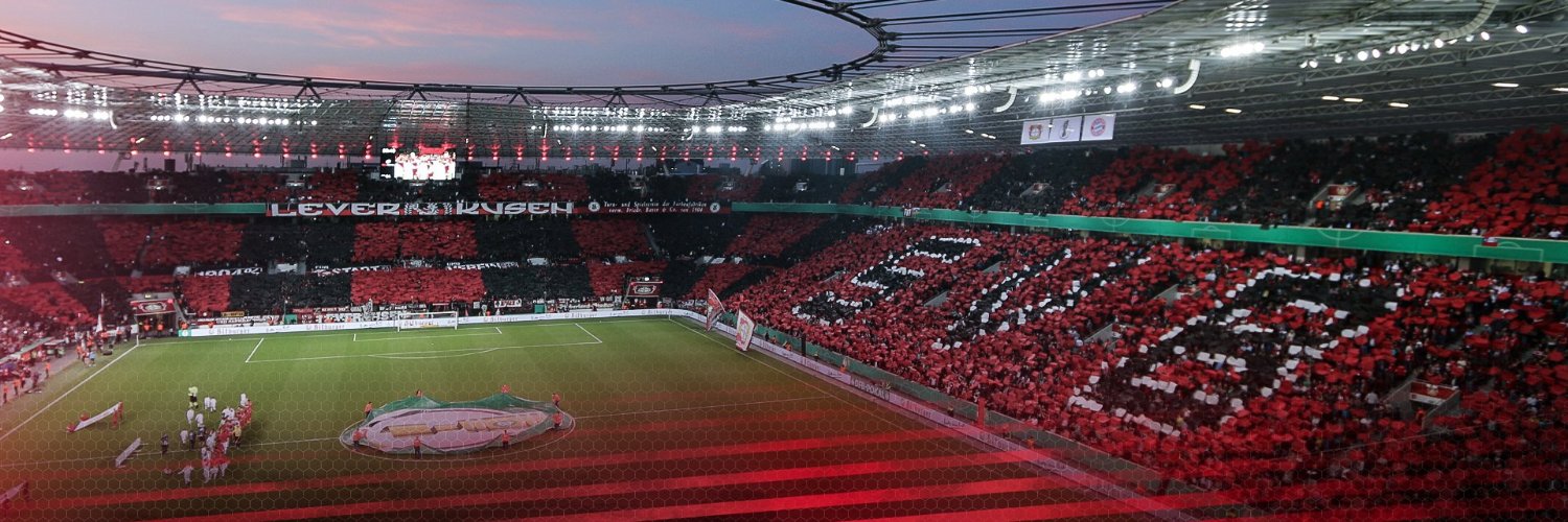Sascha banner