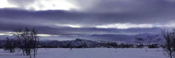 sigrunaa Profile Banner